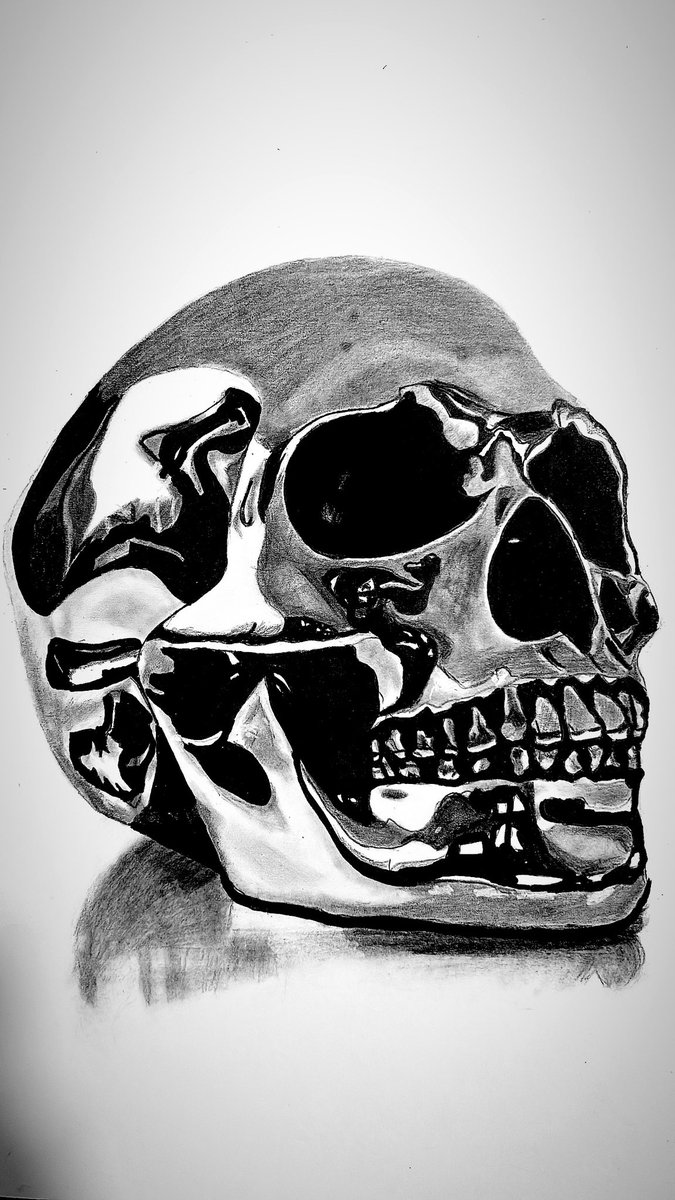 قولو مب فنان