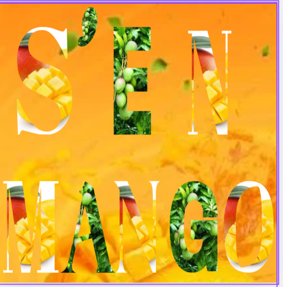 MangoSen24668's tweet photo. Nous sommes ravis de vous donner un premier aperçu de #senmango ,notre nouveau projet mettant en valeur la richesse de la mangue sénégalaise de #casamance🥭 .Plus d'infos à venir!
#agriculture #produitlocal #senmango https://t.co/1slOPBFqDa