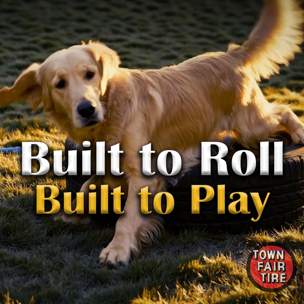 TownFairTire's tweet photo. Some things are just built to roll—and never stop.
Joy in every spin. Grip in every mile. 🐾🛞
#TownFairTire #TireTalk #DriveWithConfidence #GoodTreadGoodDog #SpringDrive #DogsOfTwitter https://t.co/67M4yCCWPi