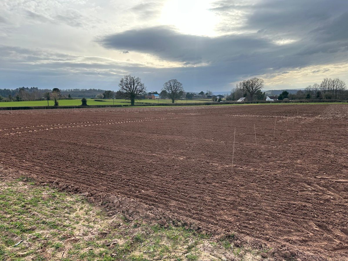FrontierAg's tweet image. It's amazing to see our trial plots take shape. These 📸 show the brilliant work from our Herefordshire trials team, where we're assessing key winter and spring cereal varieties, environmental crop mixtures &amp;amp;  a nitrogen trial. See it all on 10 June: loom.ly/9qIEuog