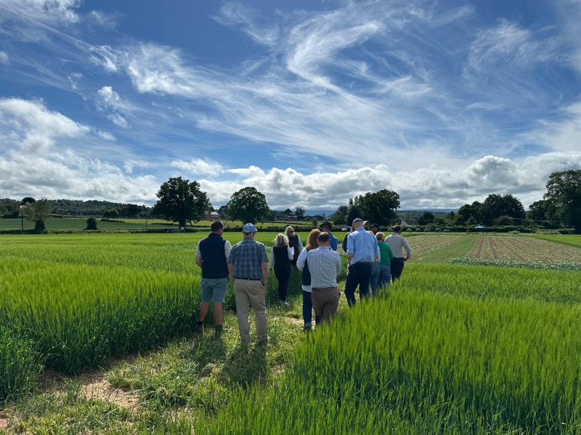 FrontierAg's tweet image. It's amazing to see our trial plots take shape. These 📸 show the brilliant work from our Herefordshire trials team, where we're assessing key winter and spring cereal varieties, environmental crop mixtures &amp;amp;  a nitrogen trial. See it all on 10 June: loom.ly/9qIEuog
