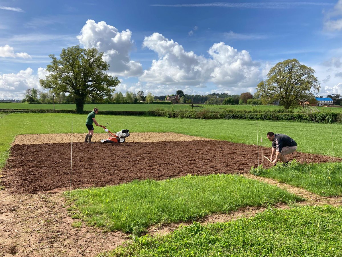FrontierAg's tweet image. It's amazing to see our trial plots take shape. These 📸 show the brilliant work from our Herefordshire trials team, where we're assessing key winter and spring cereal varieties, environmental crop mixtures &amp;amp;  a nitrogen trial. See it all on 10 June: loom.ly/9qIEuog