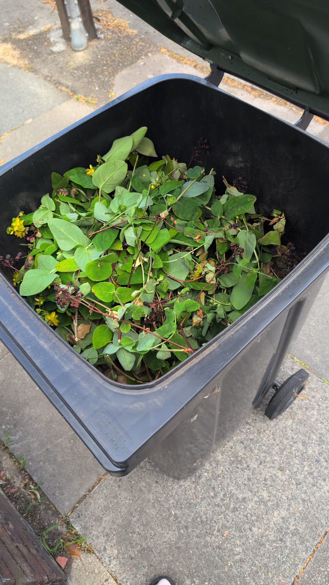 cookywook's tweet photo. @EnfieldCouncil my garden waste hasn't been collected two times in a row. what am i doing wrong??? https://t.co/2sjyqNuc3H