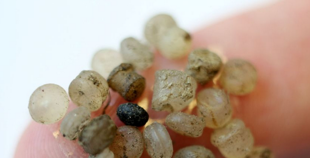 Everything you should know about microplastics
unep.org/news-and-stori…