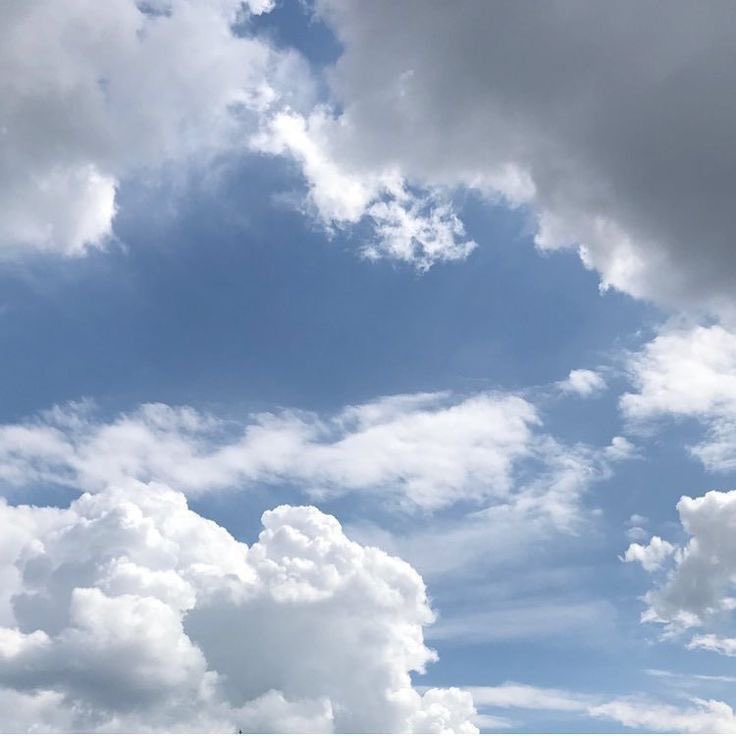 ⠀⠀
📸 sano_78's gallery !

the clouds today. one cloud is shaped like a hamster of some kind. resourceful, small, unassuming... i feel it's the sky reminding me to cherish simplicity. i gather what i need, prepare for tomorrow, and treasure my cozy spaces.
⠀⠀