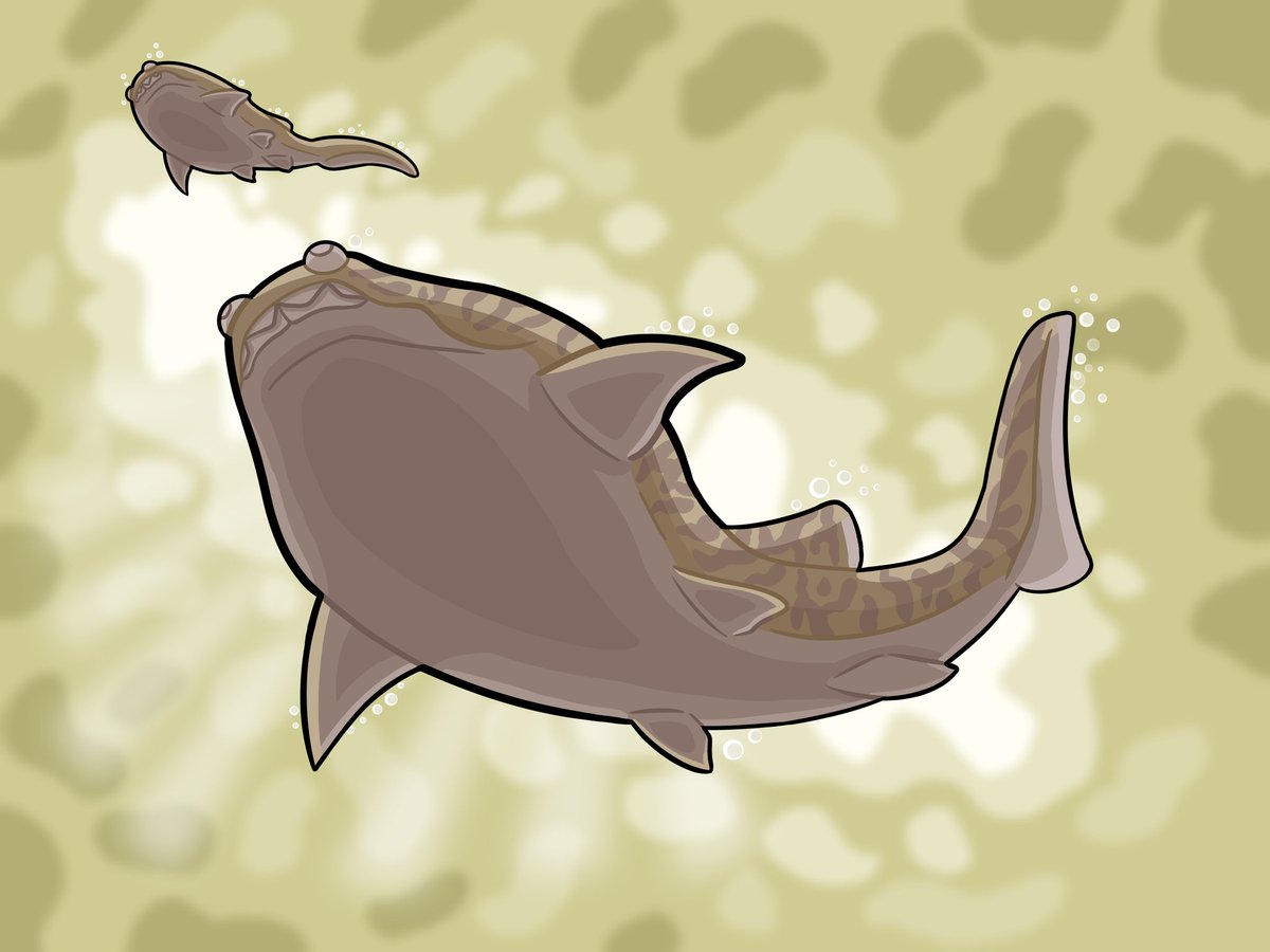 deinocheir's tweet photo. Heterosteus
#heterosteus
#paleoart 
#placoderm https://t.co/3O5C0yX15v