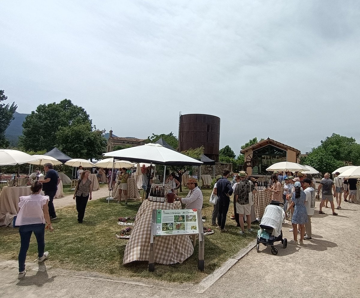 oscarranlo 🌾 tweet media