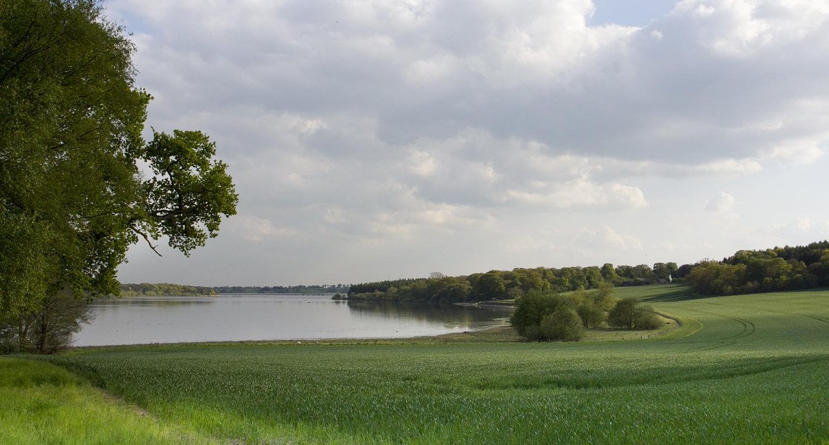 South Staffs Water 🚰 (@sthstaffswater) on Twitter photo In our region, water comes from underground sources, known as groundwater, and directly from rivers and reservoirs💧
When we experience periods of low rainfall, we limit the amount of water we take from rivers, monitoring this closely.
Learn more here: south-staffs-water.co.uk/environment/ma… In our region, water comes from underground sources, known as groundwater, and directly from rivers and reservoirs💧
When we experience periods of low rainfall, we limit the amount of water we take from rivers, monitoring this closely.
Learn more here: south-staffs-water.co.uk/environment/ma…