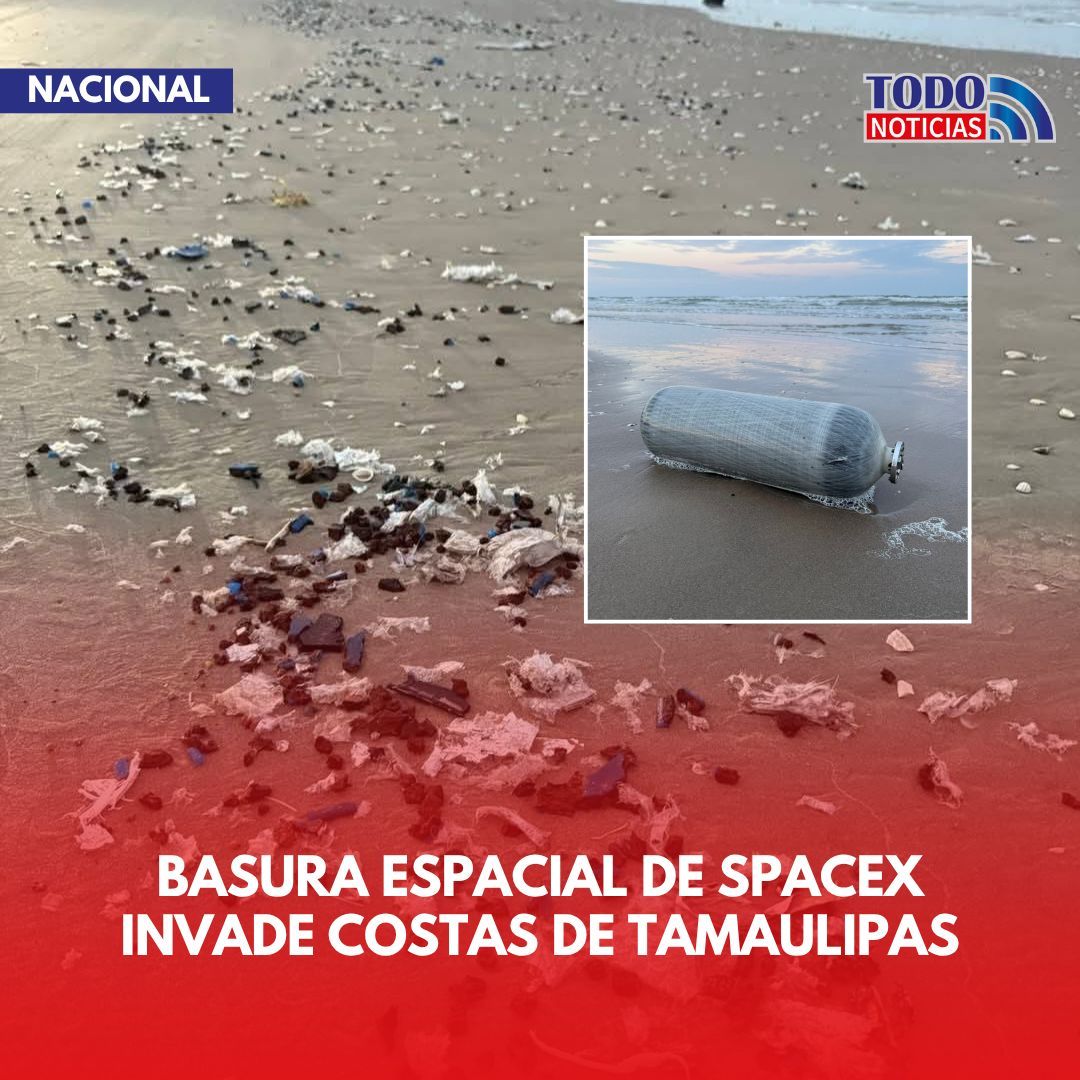 Todo Noticias tweet media