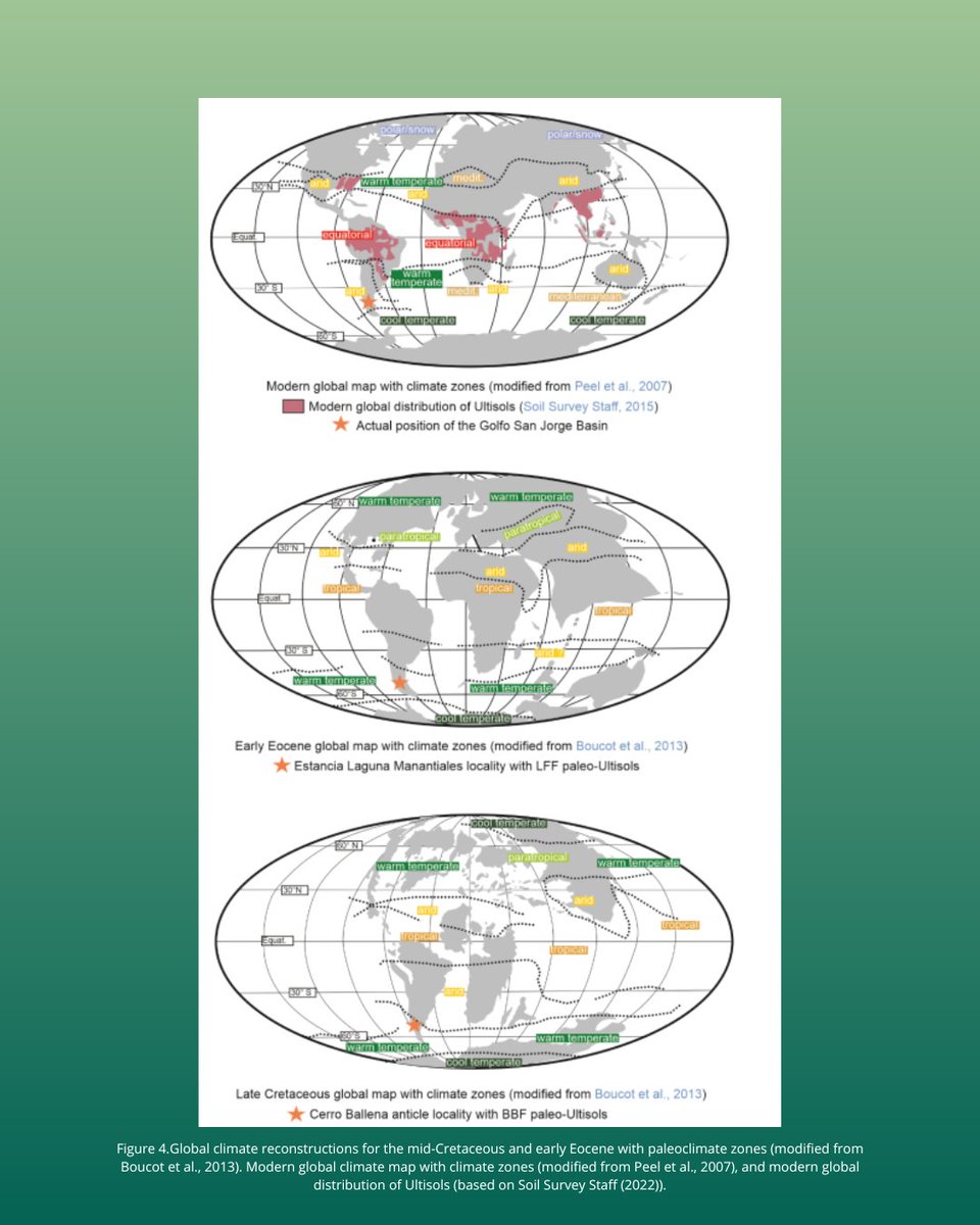 lajsbatw's tweet photo. 📢 NEW PAPER in press ALERT!📷 

Expanding knowledge of hothouse conditions through the study of paleosols in the southern Golfo San Jorge Basin

Lead by #SabrinaLizzoli and #MSolRaigemborn 

https://t.co/6iYEldGxsE https://t.co/ek8xVwwqgT