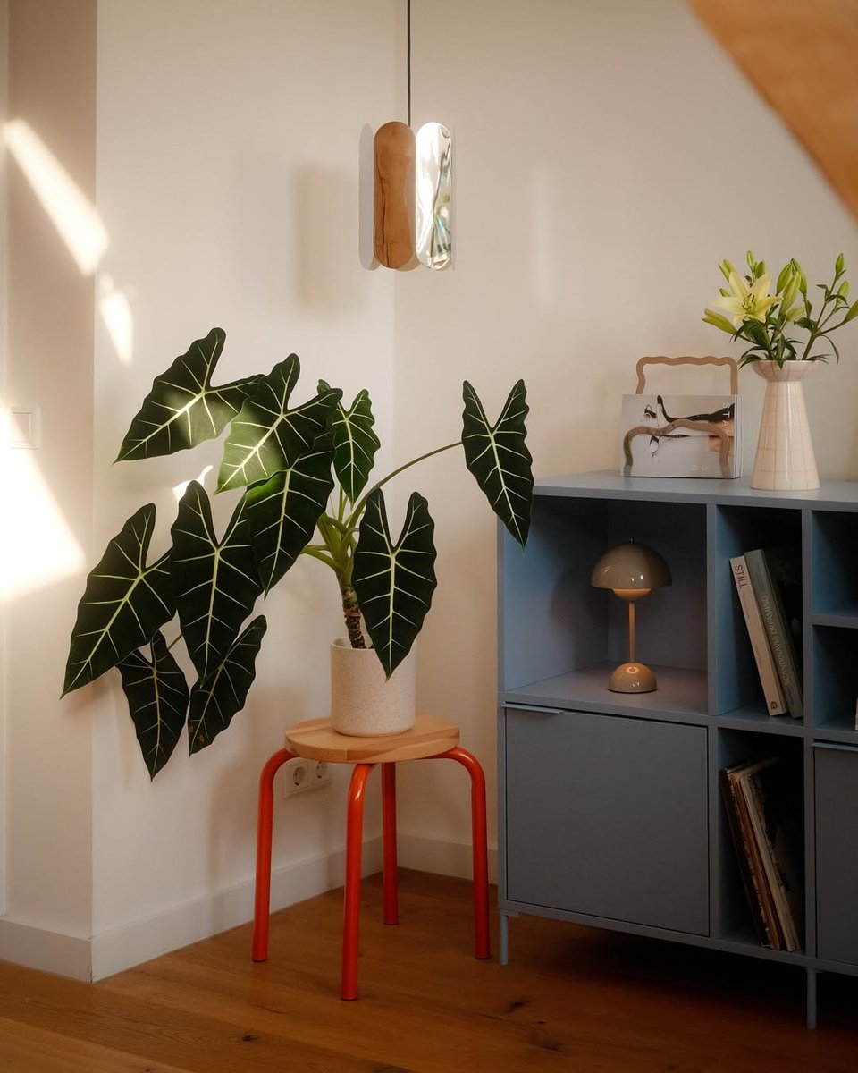 interiorsuckerr's tweet image. 