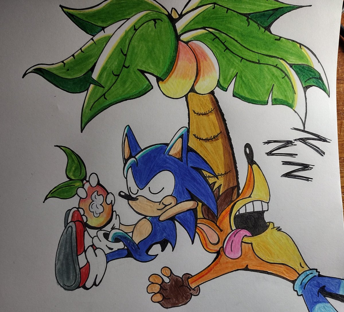 repost of old art 

#CrashBandicoot #SonicTheHedgehog