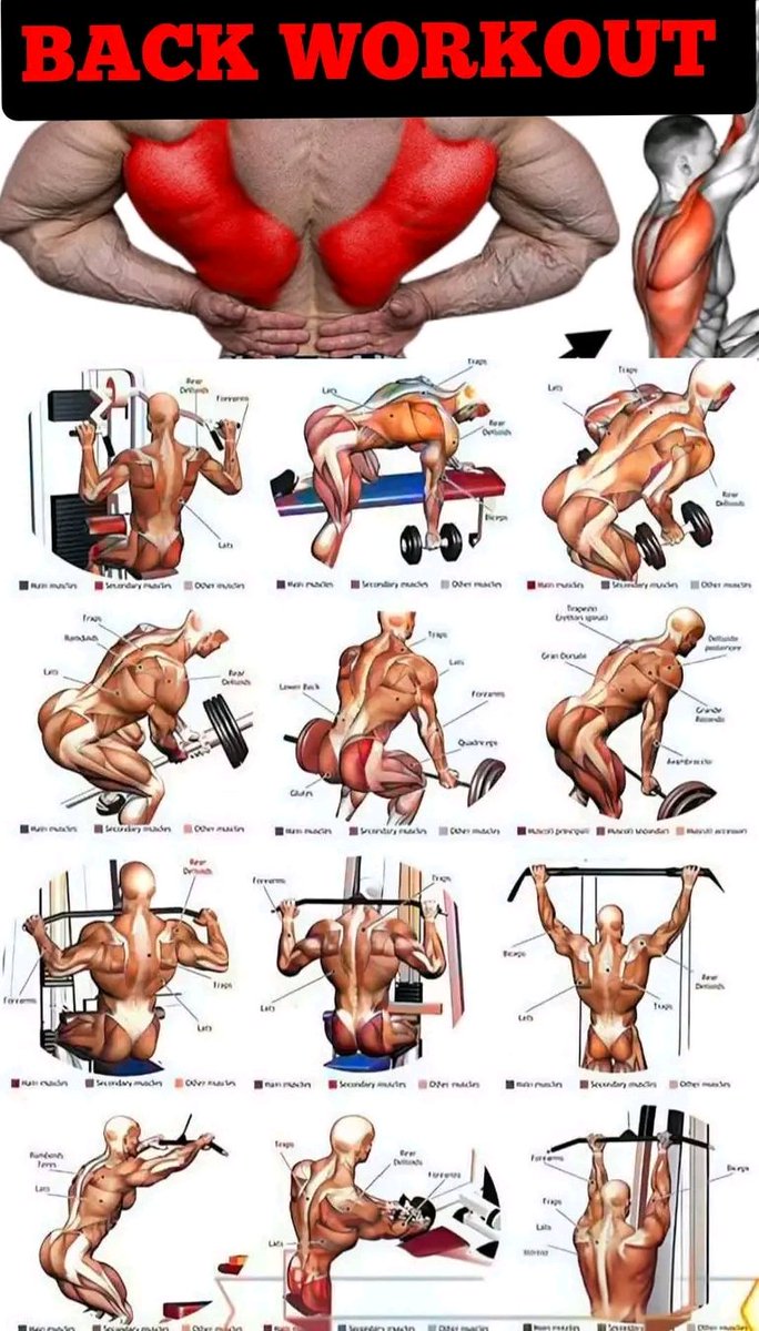 BACK WORKOUT  Time To Row &amp; Grow..🏋️💯💪