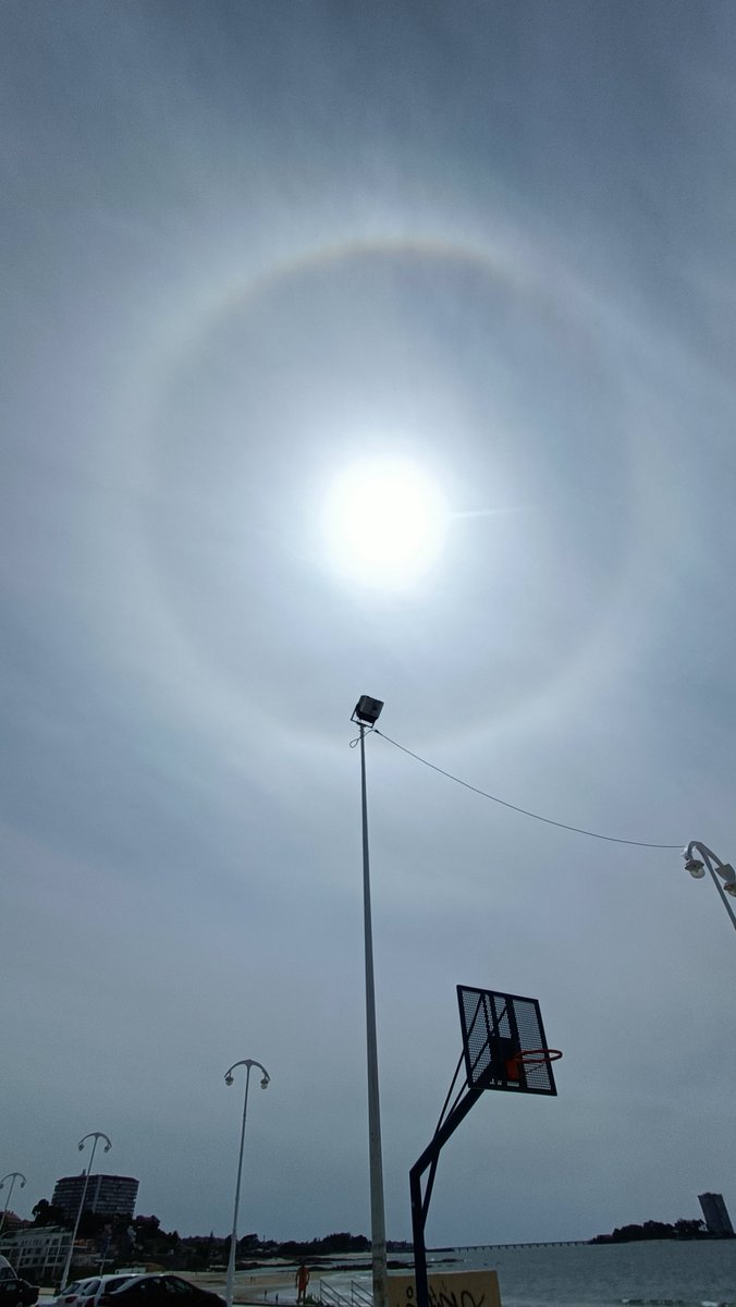 Se aprecia ligeramente un halo solar sobre Vigo

<a href="/RedmeteoP/">Redmeteo</a> <a href="/puestadesolvigo/">PuestadesolVigo</a> <a href="/SESEIXA/">Seseixa</a> <a href="/OTempoTVG/">O Tempo TVG</a>