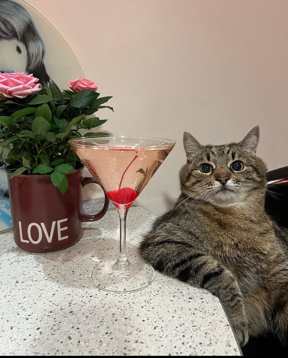 StepanPump's tweet photo. #Stepan
#Stepan is the cat who has attracted millions of followers on TikTok with her grumpy emoji!
CA:
BgBTqsEdFYiT3zDbhEgRjBk6NbwruveeL7zoAFbBpump
pump:
https://t.co/o8qrl5bOIs https://t.co/fBZgtMjhV0