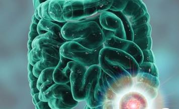 New study shows that adding encorafenib + cetuximab to chemotherapy improves survival in patients with BRAF V600E–mutant metastatic colorectal cancer. Promising results for targeted therapy. #ColorectalCancer #BRAF #Oncology #ASCO2025
🔗 ascopost.com/news/may-2025/…