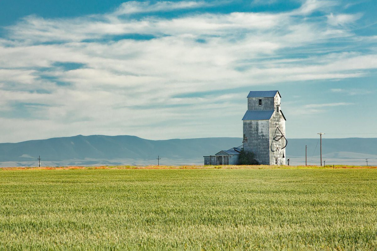 Our type of Monday morning blues.

#MTAg #MontanaAg #MTAgriculture