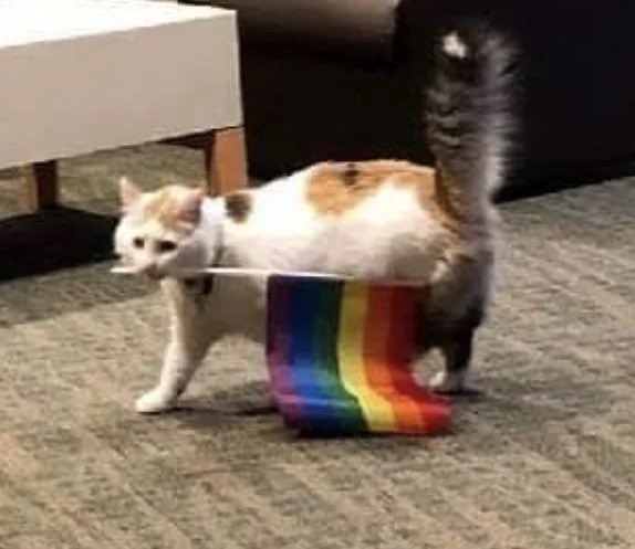 happy pride month to everyone