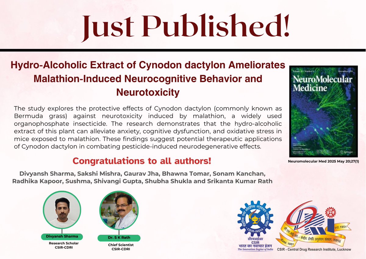 CDRI-Academy and Research (@cdriacademy) on Twitter photo 🚨 #JustPublished in NeuroMolecular Medicine
New study from Dr. S.K. Rath’s group <a href="/CSIR_CDRI/">CSIR-CDRI</a> , lead author Divyansh Sharma, shows that Cynodon dactylon (Bermuda grass) protects against malathion-induced neurotoxicity in mice.
Read: link.springer.com/article/10.100…
<a href="/SRIKANT20929773/">SRIKANTA KUMAR RATH</a> 🚨 #JustPublished in NeuroMolecular Medicine
New study from Dr. S.K. Rath’s group <a href="/CSIR_CDRI/">CSIR-CDRI</a> , lead author Divyansh Sharma, shows that Cynodon dactylon (Bermuda grass) protects against malathion-induced neurotoxicity in mice.
Read: link.springer.com/article/10.100…
<a href="/SRIKANT20929773/">SRIKANTA KUMAR RATH</a>