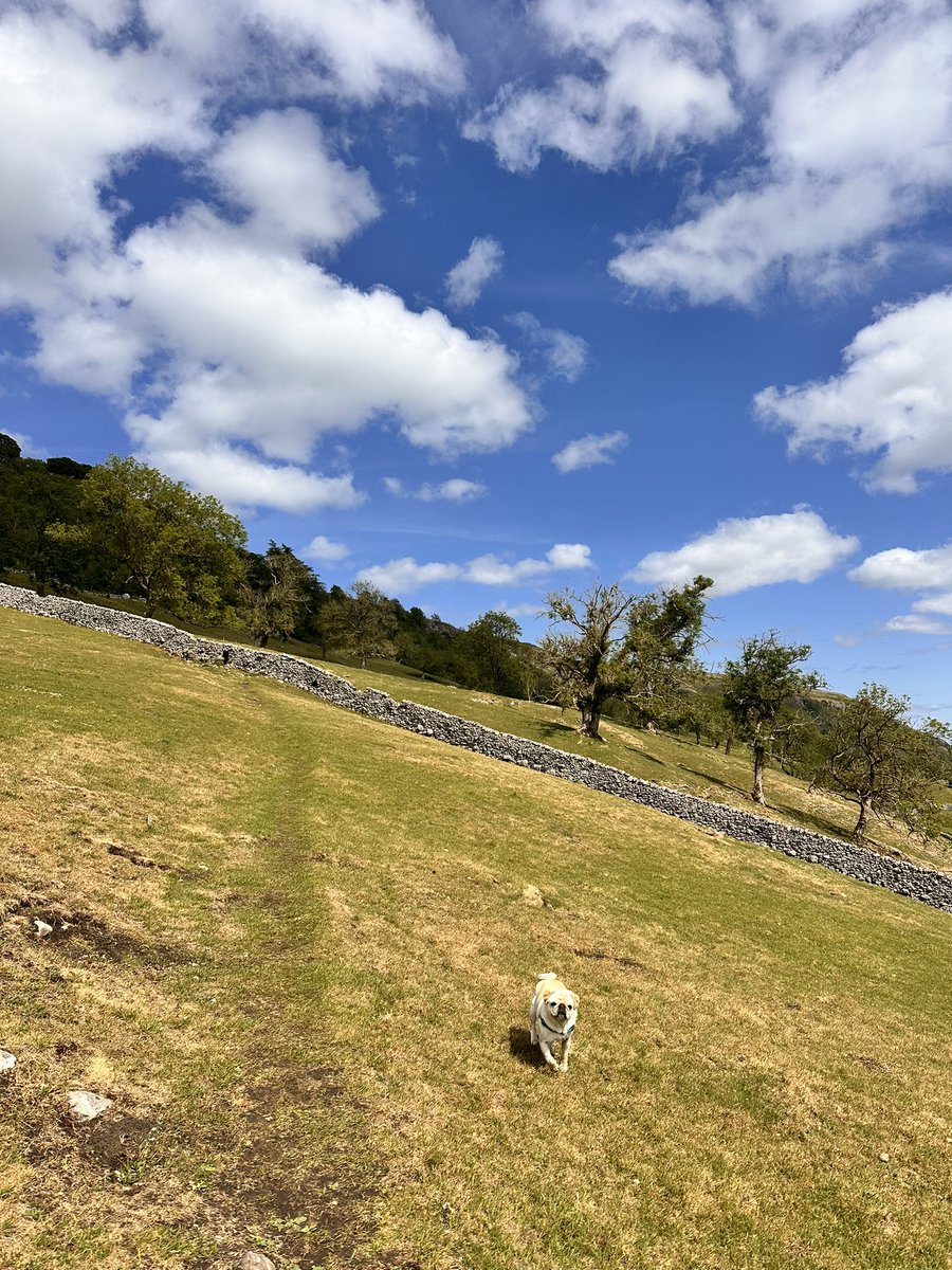 Gorgeous light this afternoon.