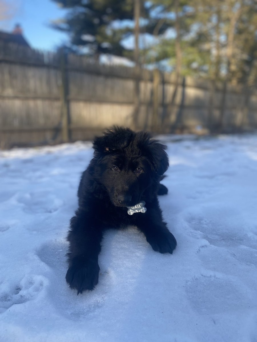 Johnny Cupcakes tweet media