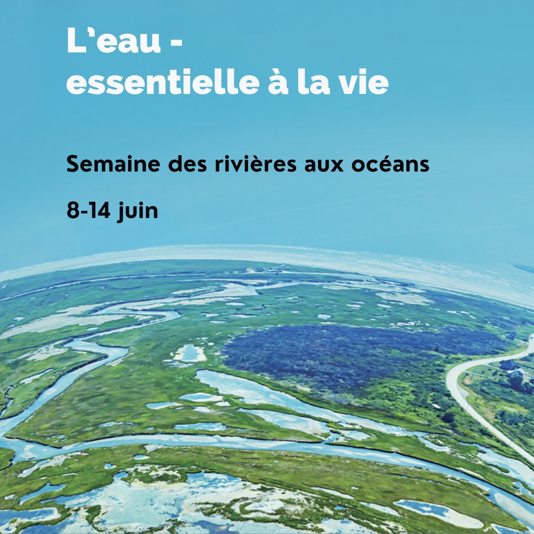 💧 Des rivières à l’océan, l’eau nous unit. Protégeons-la — pour la nature, pour nous, pour l’avenir.
#DesRivièresÀLOcéan #LEauCestLaVie #HabitatFauniqueCanada