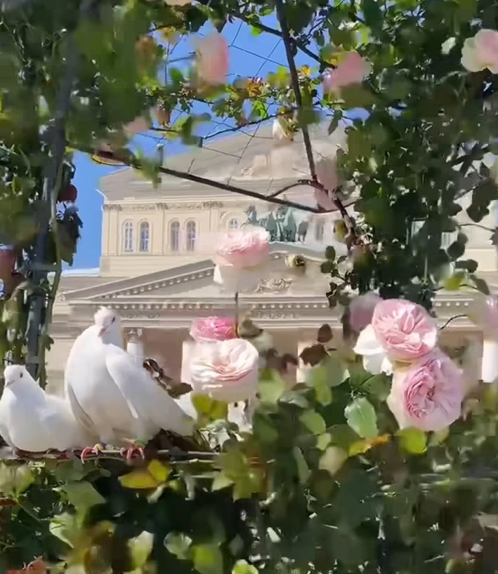 Летнее настроение на Театральной площади 🌞