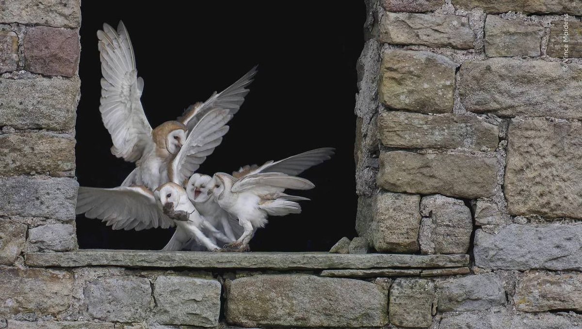 Библейски точный ангел