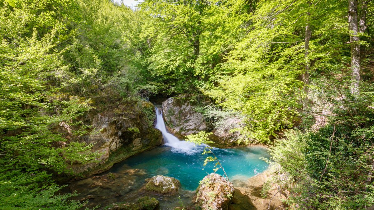 Visit Navarra tweet media