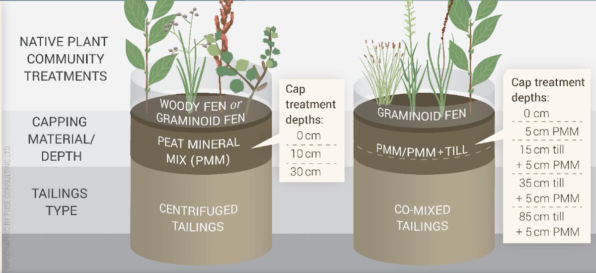 A research team at the Natural Resources CA, CAForest Service, Northern Forestry Centre, Edmonton, AB,  published results of a study using native wetland species to reclaim treated fluid fine tailings. Read more in this GroundedInSoils blog post: wp.me/pclOv9-eQ