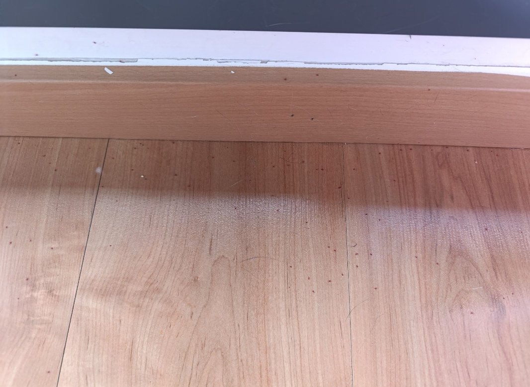 larahf85's tweet image. Comenzamos otra semana de calor sin poder abrir puertas ni ventanas porque al @AytoColmenar no le da la gana solucionar los problemas de la araña roja en Arroyo Espino... ¿Pasaréis igualmente el recibo del IBI? @AVColmenarViejo @CGomezColmenar