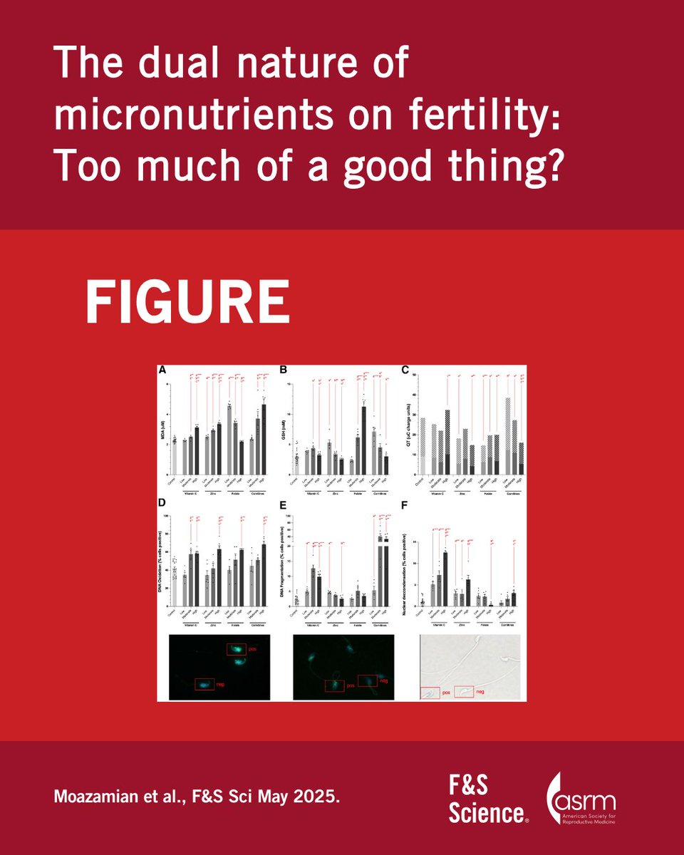Fertility Sterility tweet media