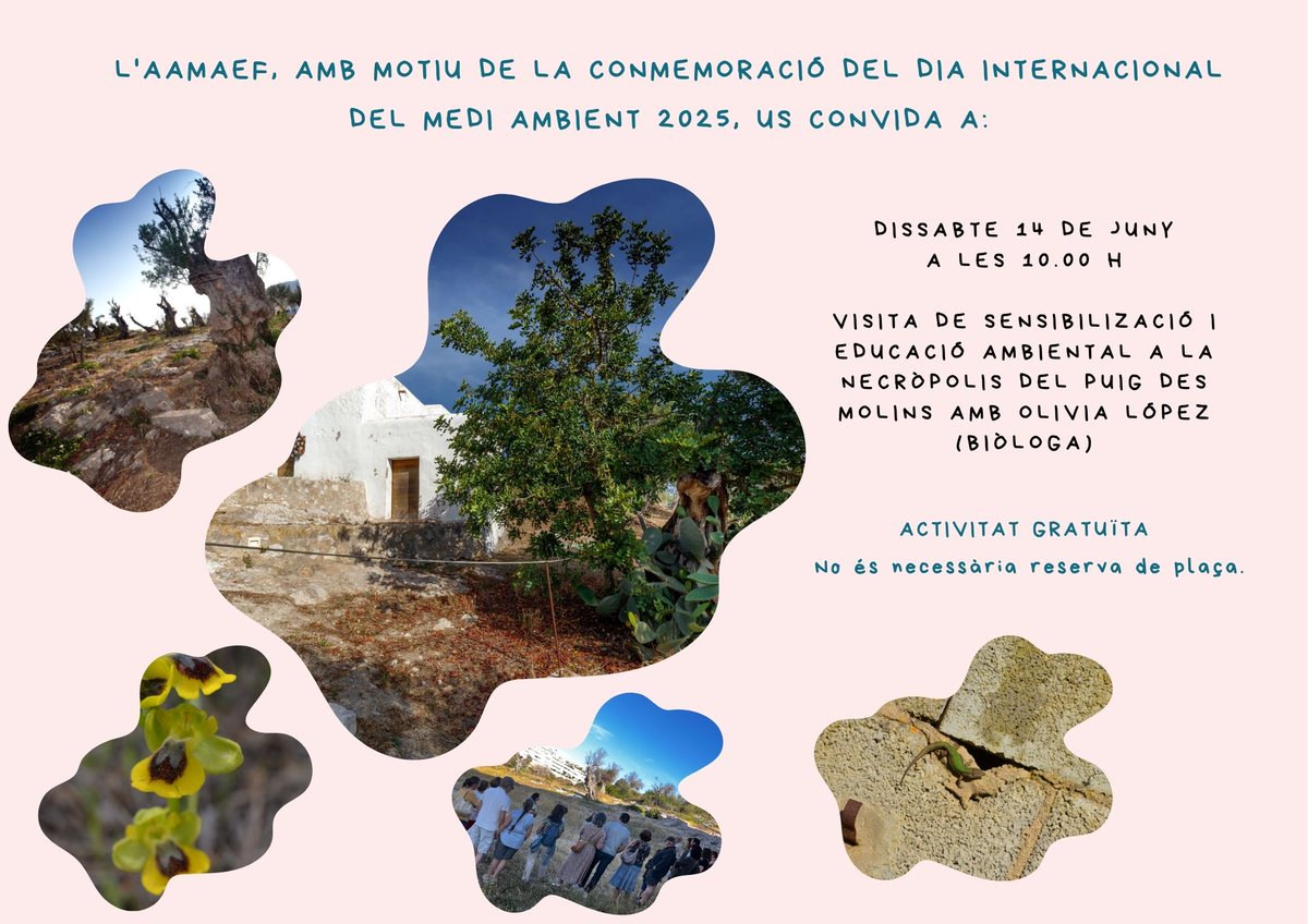 🌎Celebrem el Dia Internacional del Medi Ambient al @MAEFmuseo
Acompanyeu-nos!☘️
