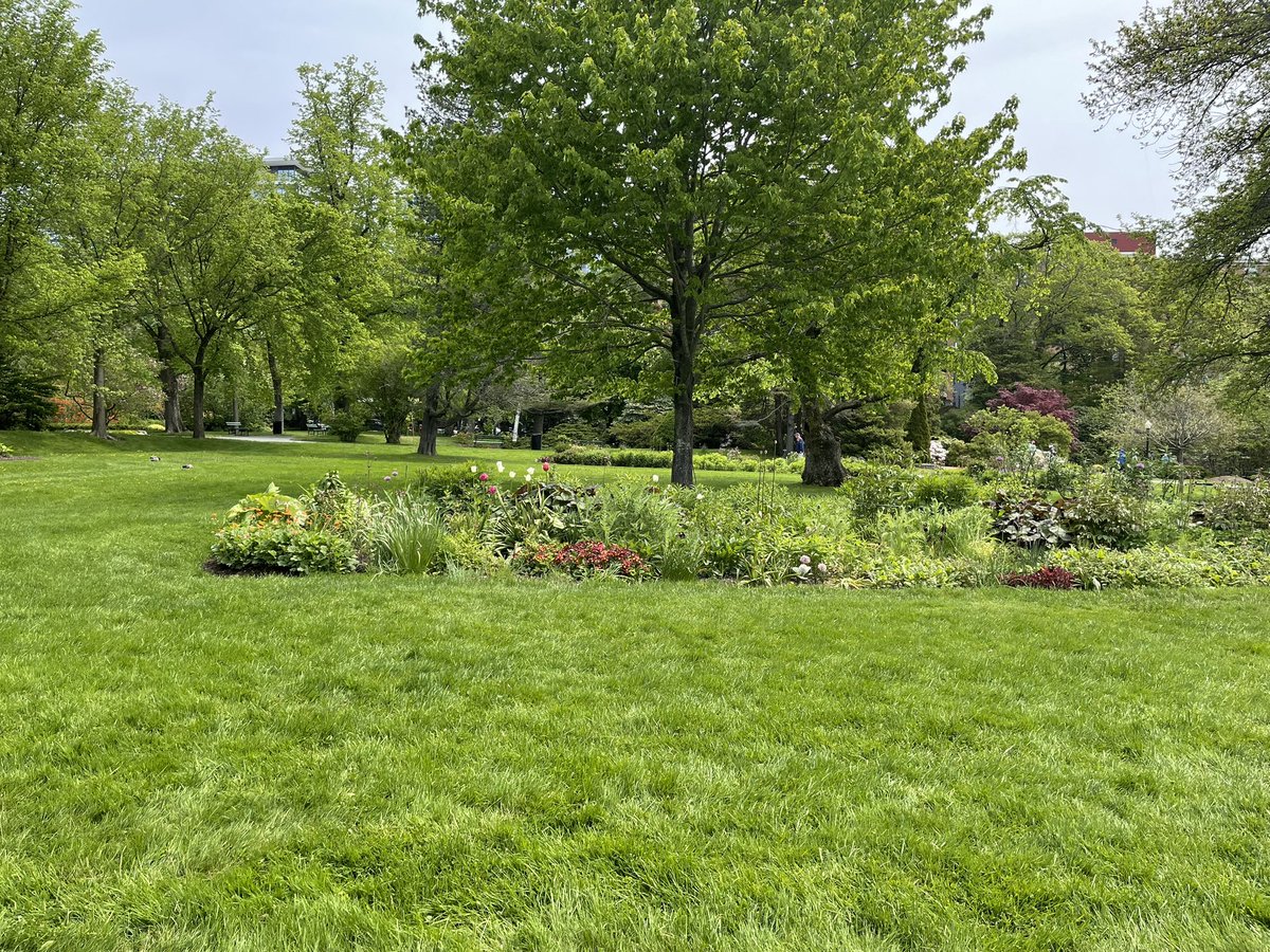 The perennial garden here at the Halifax Public Gardens, well one of them, continually change throughout the spring and summer. There's always something new to look at!