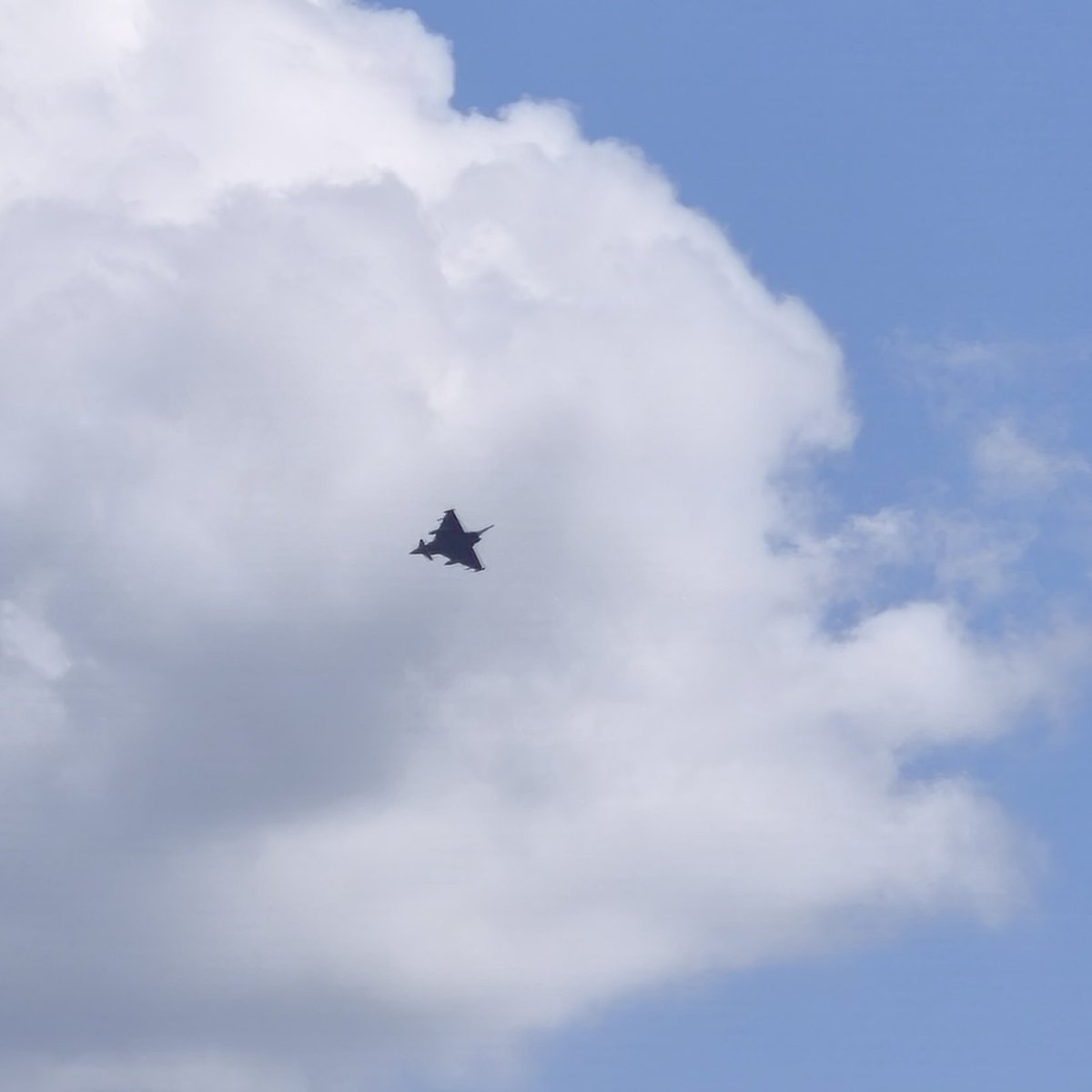 Vögelchen des Tages