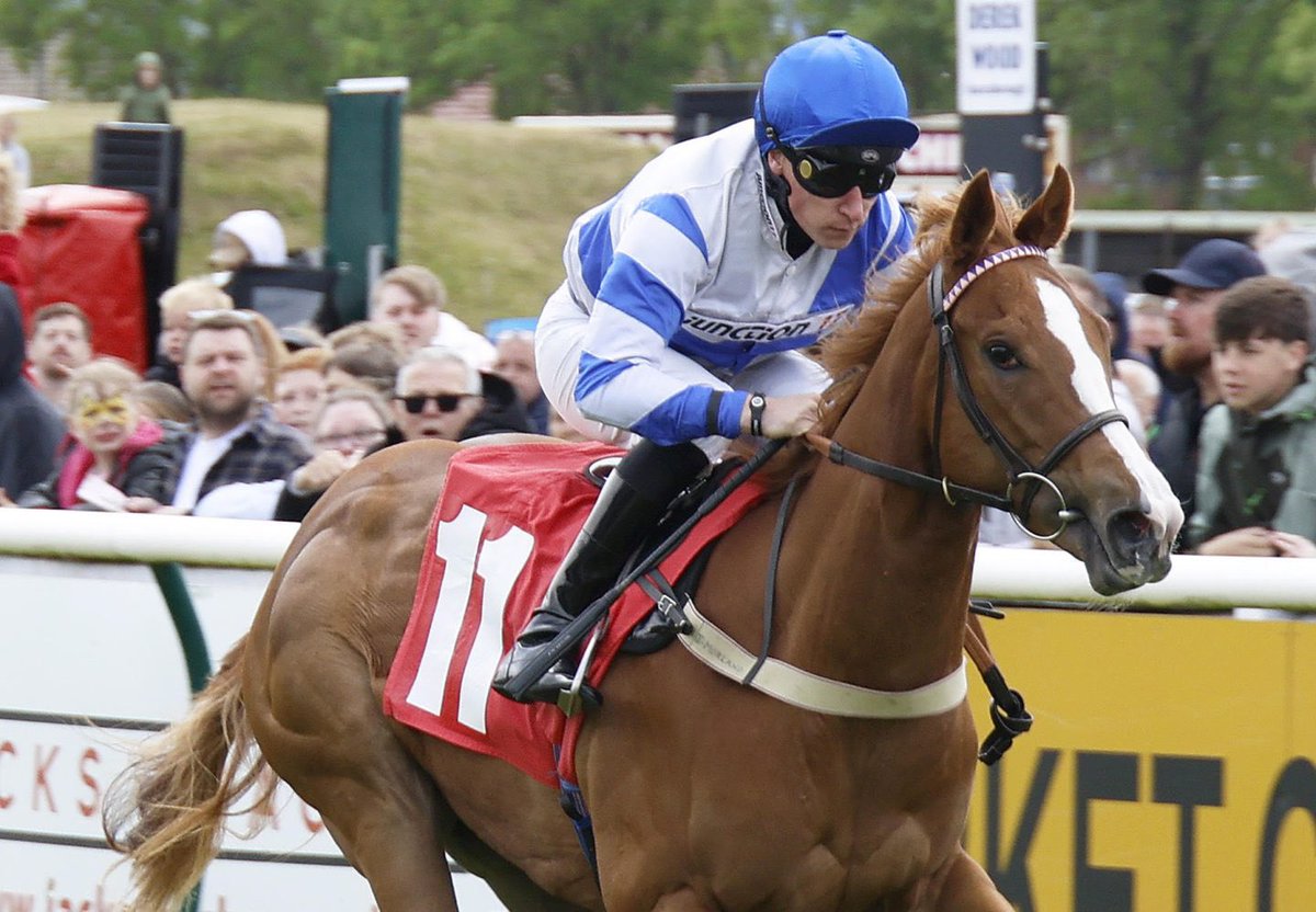 Tattersalls Online (@tatts_online) on Twitter photo ๐๐๐ญ๐ญ๐๐ซ๐ฌ๐๐ฅ๐ฅ๐ฌ ๐๐ง๐ฅ๐ข๐ง๐ ๐๐ง๐ง๐จ๐ฎ๐ง๐๐ ๐๐ฑ๐๐ข๐ญ๐ข๐ง๐ 2๐๐ ๐๐จ๐ซ ๐๐ฎ๐ง๐ ๐๐จ๐ฉ-๐๐ฉ ๐๐๐ฅ๐ ๐๐ง๐ ๐๐๐ฐ ๐๐๐๐๐ก๐จ๐ซ๐ฌ๐ ๐๐ก๐๐ซ๐ ๐
๐๐๐ญ๐ฎ๐ซ๐
Read more: bit.ly/4jOKYcx
Impressive juvenile debut winner ๐๐๐๐ ๐๐๐๐๐๐๐๐ will feature ๐๐๐ญ๐ญ๐๐ซ๐ฌ๐๐ฅ๐ฅ๐ฌ ๐๐ง๐ฅ๐ข๐ง๐ ๐๐ง๐ง๐จ๐ฎ๐ง๐๐ ๐๐ฑ๐๐ข๐ญ๐ข๐ง๐ 2๐๐ ๐๐จ๐ซ ๐๐ฎ๐ง๐ ๐๐จ๐ฉ-๐๐ฉ ๐๐๐ฅ๐ ๐๐ง๐ ๐๐๐ฐ ๐๐๐๐๐ก๐จ๐ซ๐ฌ๐ ๐๐ก๐๐ซ๐ ๐
๐๐๐ญ๐ฎ๐ซ๐
Read more: bit.ly/4jOKYcx
Impressive juvenile debut winner ๐๐๐๐ ๐๐๐๐๐๐๐๐ will feature
