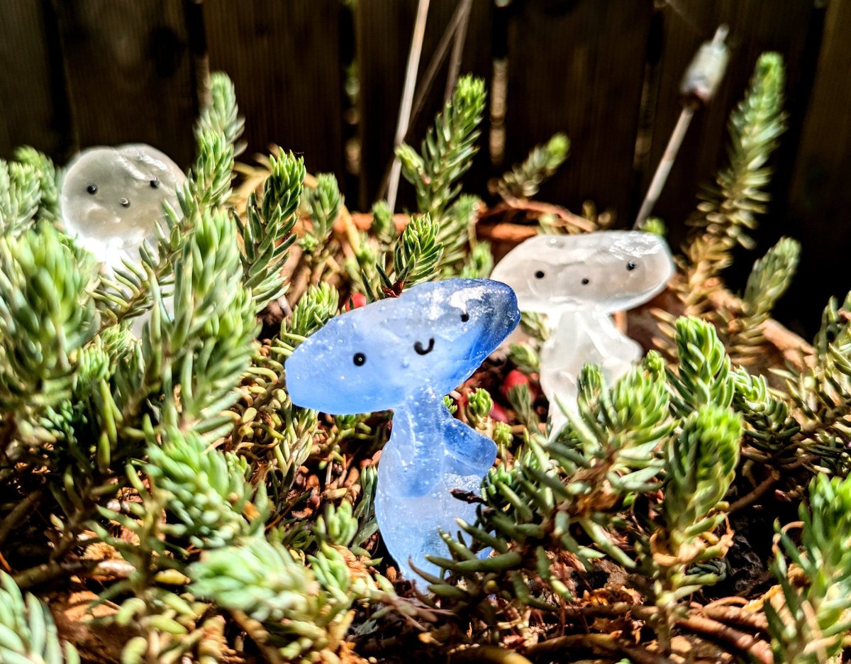 EbibiGlass's tweet photo. ANNONCE ✨ 

 Mercredi 4 Juin à 20h petite rechargement de la boutique en ligne, 
au menu:

  🦊 Des renards!
  🌺des kodamas coquelicots
  ☘️Un kodama bleu et des kodama simples
 🐑 Des moutons très intelligents https://t.co/ot2rVsg8h9