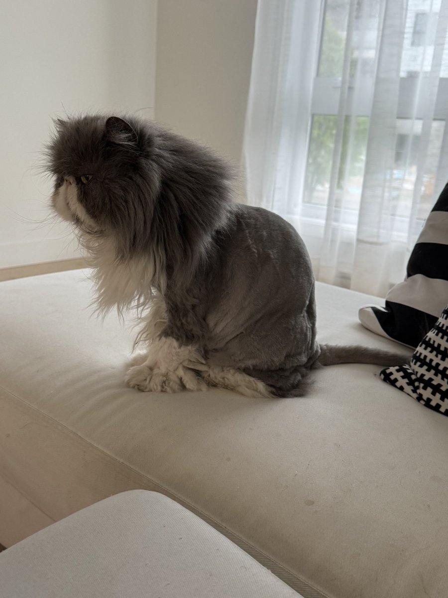 Amikos, me siemto llenito de amor. Gracias por sus güenos deseos. Soi mui afortunado de tenerlos. Y para este nuevo año de vida mhice un cambio de look. Qé les parece?