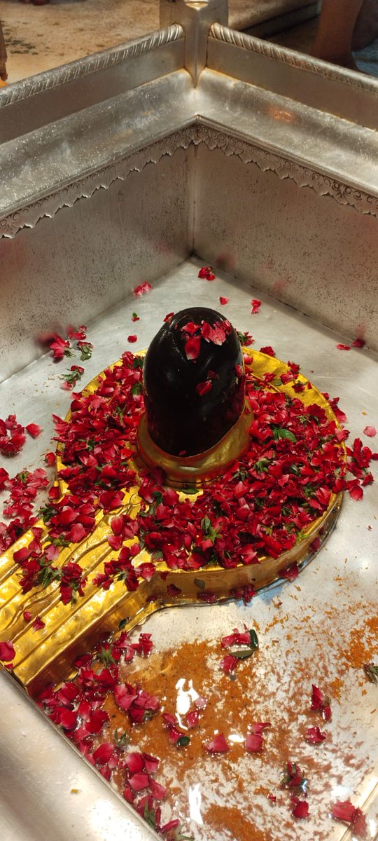 ShriVishwanath's tweet photo. श्री काशी विश्वनाथ  मंदिर न्यास द्वारा नौतपा से भक्तों को राहत प्रदान करने की कामना के साथ श्री विश्वेश्वर महादेव का अभिषेक संपन्न किया गया। 
।।श्री काशीविश्वनाथो विजयतेतराम।।
#banaras #kashivishwanath #bholenath #hindudharmkimahima #sanatandharma #harharmahadev https://t.co/mPZze1SDgU