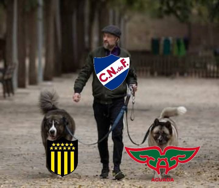 Ale Tricolor1899 (@aletricolor11) on Twitter photo 