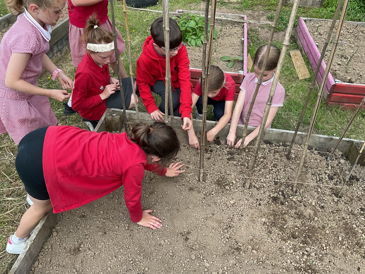 Ysgol Arberth (@narberthschool) on Twitter photo First allotment session of the year π±π«
Sesiwn garddio cyntaf y flwyddyn π±π«
<a href="/EcoSchoolsWales/">Eco-Schools Wales</a> #egwyddorolgwybodus First allotment session of the year π±π«
Sesiwn garddio cyntaf y flwyddyn π±π«
<a href="/EcoSchoolsWales/">Eco-Schools Wales</a> #egwyddorolgwybodus