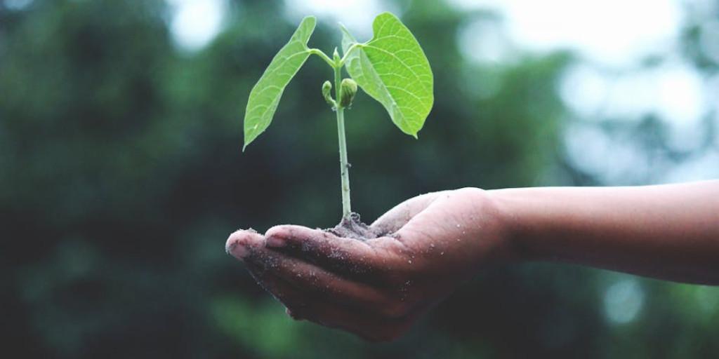 MSU CCED (@msu_cced) on Twitter photo Applications are now open for $700,000 in Rural Readiness Grant funds. Letters of intent for the first round of funding are now being accepted. Learn more and apply at michigan.gov/leo/bureaus-ag…
<a href="/MichiganLEO/">Michigan Dept. of Labor and Economic Opportunity</a> <a href="/MSUEngage/">Outreach&Engagement</a> Applications are now open for $700,000 in Rural Readiness Grant funds. Letters of intent for the first round of funding are now being accepted. Learn more and apply at michigan.gov/leo/bureaus-ag…
<a href="/MichiganLEO/">Michigan Dept. of Labor and Economic Opportunity</a> <a href="/MSUEngage/">Outreach&Engagement</a>