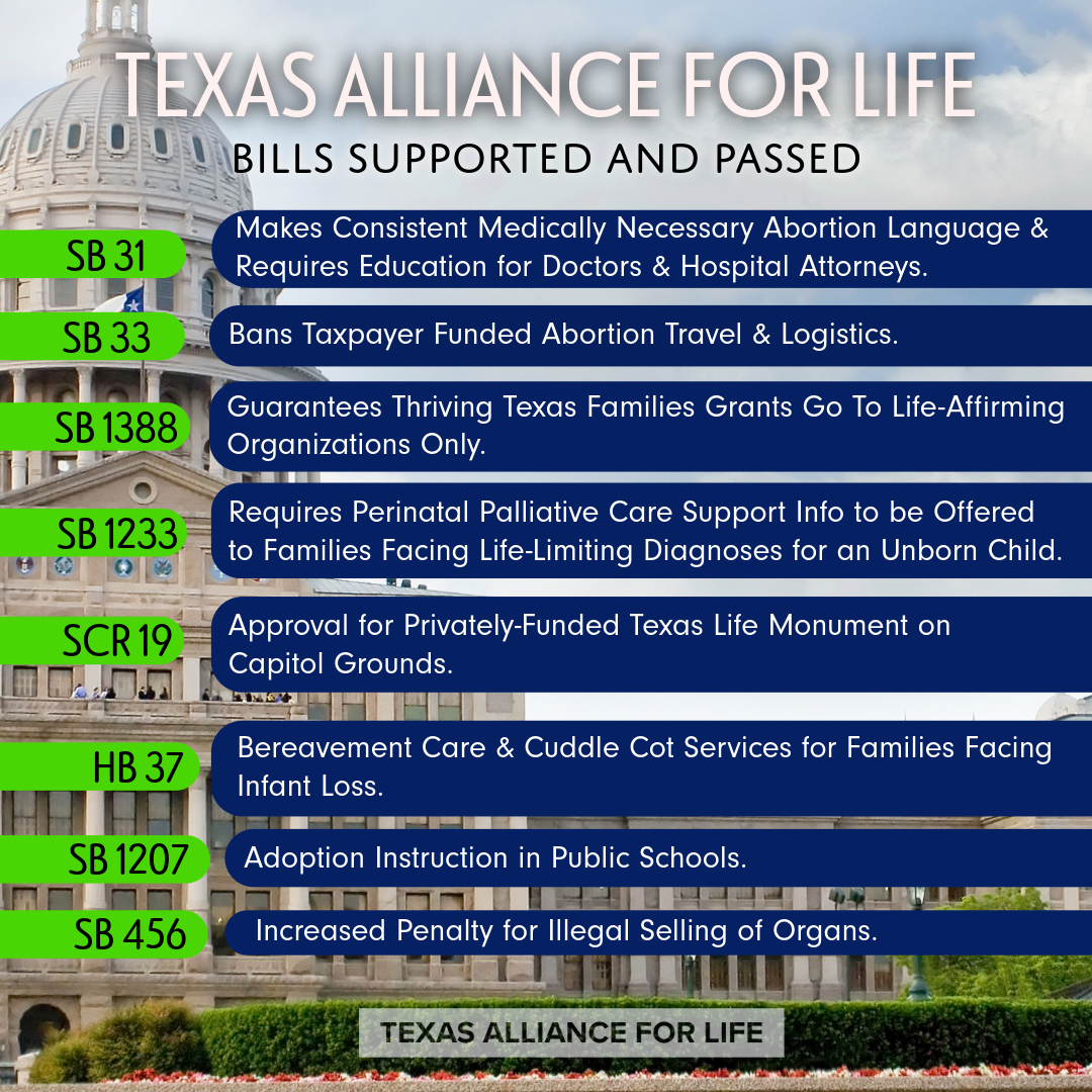 🎉 The 89th #TXLege is wrapping up—and we’re celebrating a wave of pro-life wins!

Months of hard work led to key bills passing to protect life at every stage.

We are grateful to the strong authors, our team, and every Texan who took action. 💙 

#TXLege #LifeWins