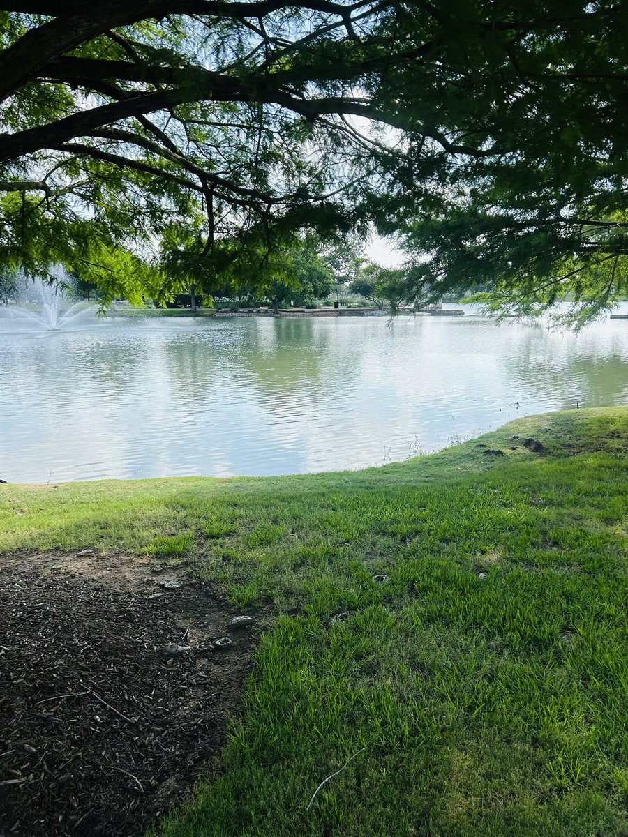 Mrs. Nelson tweet media