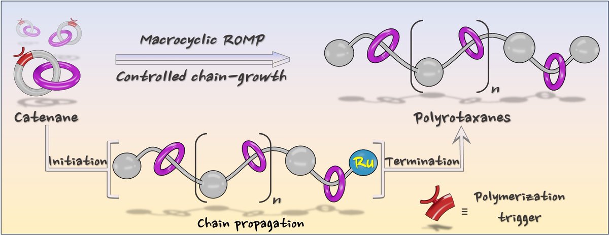 qiuyunyan's tweet image. Excited to share and report our first episode on "Precision Synthesis of Polyrotaxanes Using Macrocyclic Ring-Opening Metathesis Polymerization"
Stay tuned for more to come! @NUSingapore @ChemNUS
ChemRxiv - go.shr.lc/4kIP2LZ