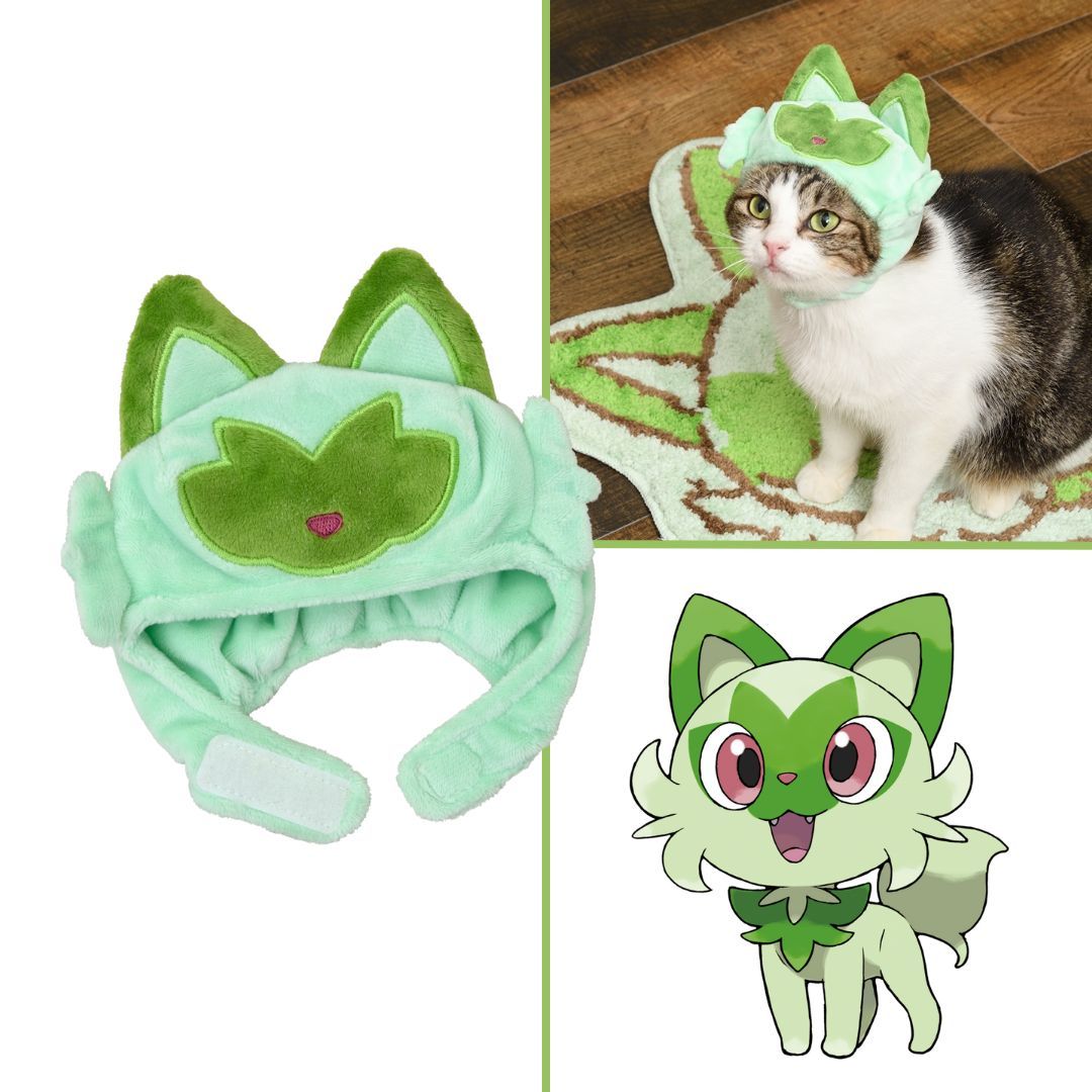 Meccha Japan (@mecchajp) on Twitter photo When your cat cosplays Pokémon better than you. What do you think of this Sprigatito cat hat? 😹🌿
#Pokemon #Sprigatito #Cat When your cat cosplays Pokémon better than you. What do you think of this Sprigatito cat hat? 😹🌿
#Pokemon #Sprigatito #Cat