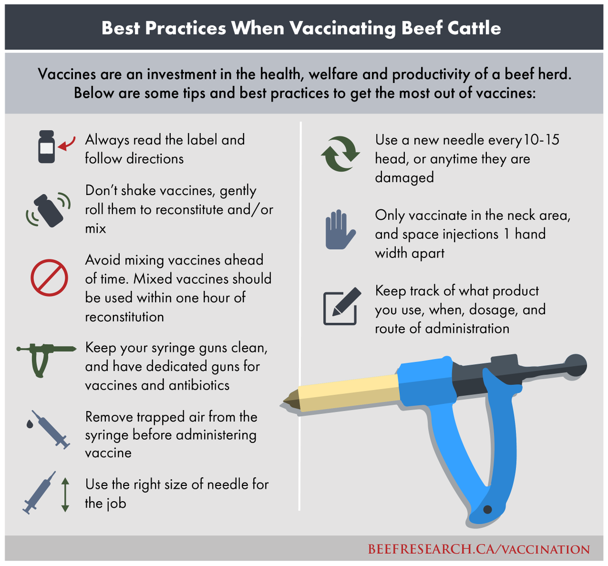 It's virtually impossible to keep our beef cattle herds closed and unexposed to some diseases. However, vaccination has been a proven tool for disease prevention for many years.

Get the most out of your vaccines with these best practices.

Learn more at: beefresearch.ca/topics/vaccina…