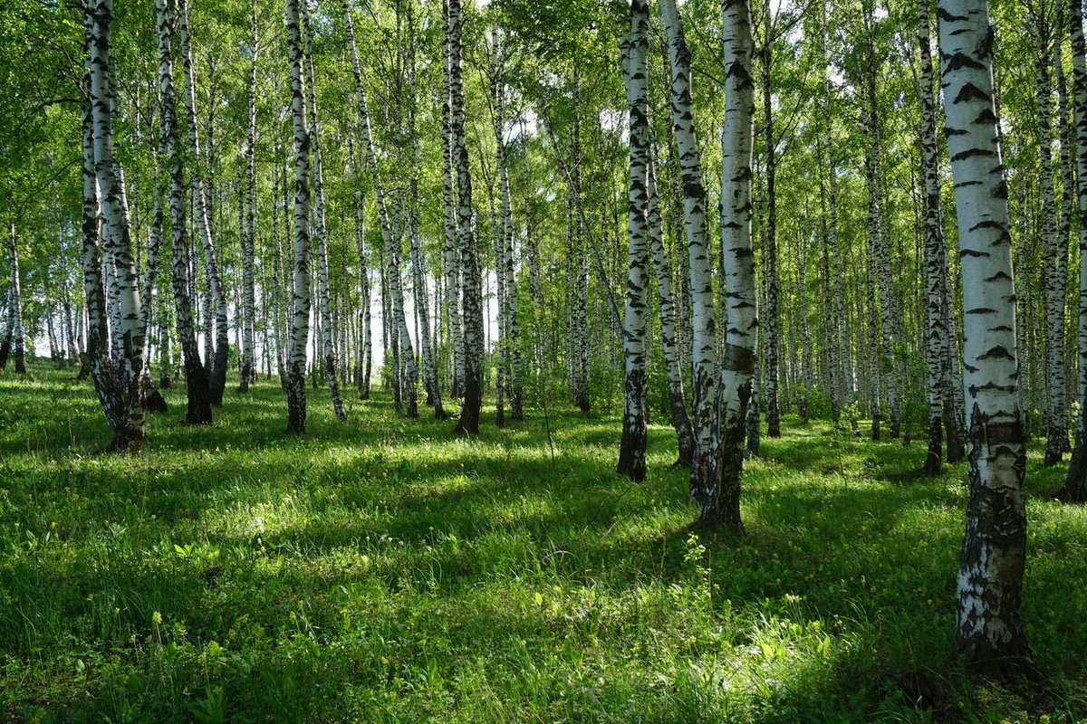 <a href="/interesn0vsem/">Ольга Воробьева</a> <a href="/ilona_gerolskay/">Илона Герольская</a> <a href="/cukushka/">Людмила</a> <a href="/actwives/">Ирина Морозова</a> <a href="/gl0riyas/">Глория</a> <a href="/nina55055/">Нина</a> <a href="/_fantaziya/">Елена</a> <a href="/javorskaya/">Эльвира Яворская</a> <a href="/polina_lapidus/">Полина Лапидус</a> <a href="/Irina__Razumova/">Ирина Разумова</a> <a href="/Veronika_Mazina/">Вероника Мазина</a> <a href="/_Nadya_Antipova/">Надежда Антипова</a> <a href="/Lyuda_Ilyina/">Людмила Ильина</a> <a href="/Nata__Svetlova/">Наталья Светлова</a> <a href="/_Alina_Panova/">Алина Панова</a> <a href="/Vlada_Ulisova/">Влада Улисова</a>
