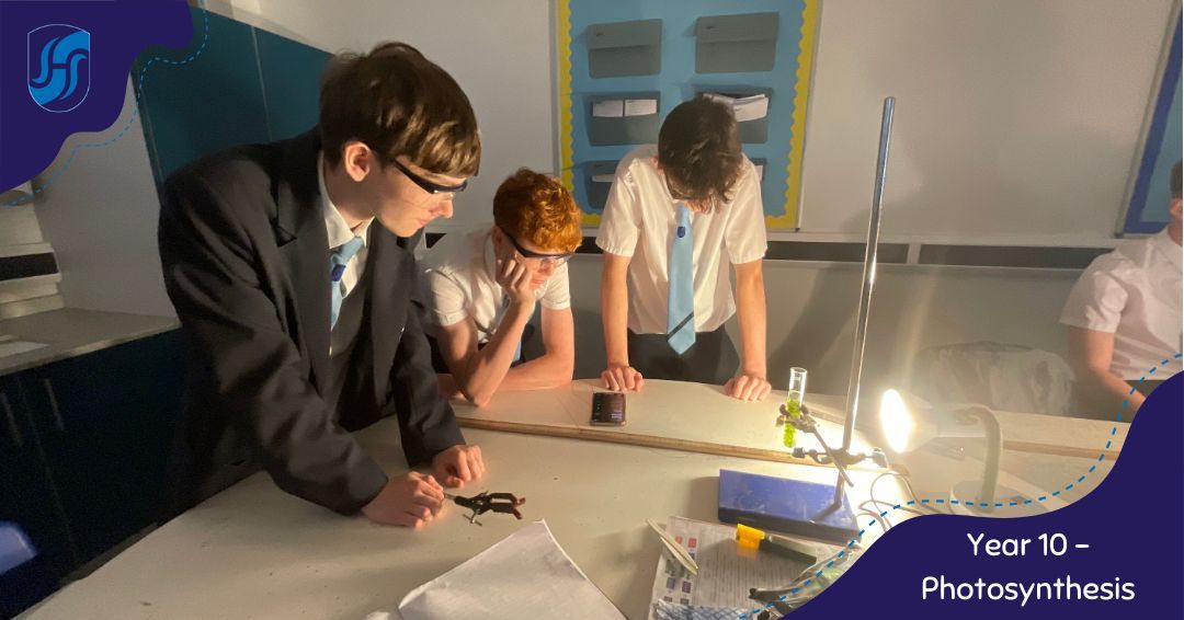 Year 10 got hands-on with photosynthesis - lights off, lamps on, and plenty of curious minds at work!