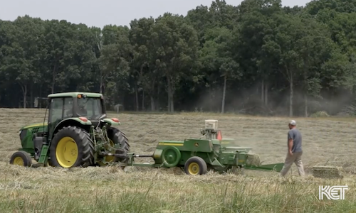 KET Public Affairs (@pubaffairsket) on Twitter photo A new <a href="/KyStateU/">Kentucky State University</a> extension office in Barren County will help farmers boost profits on their hay and forage crops. ow.ly/mV0F50W2buW A new <a href="/KyStateU/">Kentucky State University</a> extension office in Barren County will help farmers boost profits on their hay and forage crops. ow.ly/mV0F50W2buW